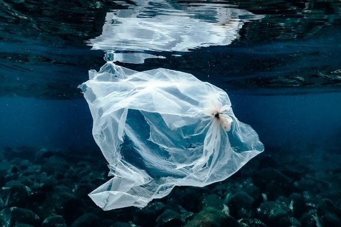 Clean Up Australia - Flipped Classroom - The Majestic Plastic Bag