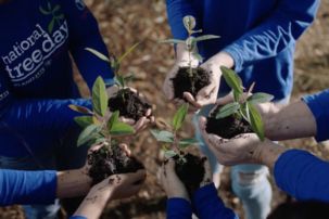 Schools Tree Day - Being Mindful in Nature