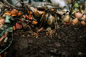 National Recycling Week - Let's Look At Organic Waste