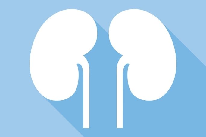 SugarByHalf - Meet Your Kidneys