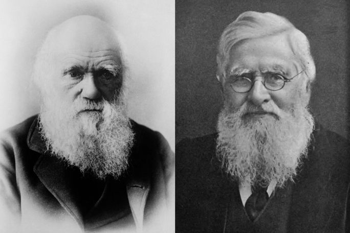Evolution - Darwin versus Wallace