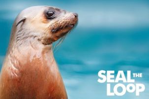 Seal the Loop - Exploring Marine Conservation