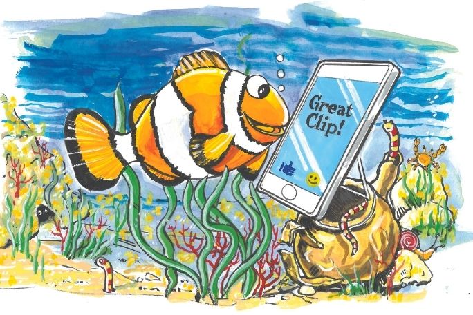 eSafety For Kids - Feeling Fishy Online