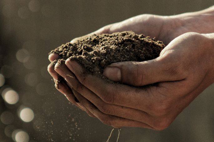 Dig Deep Into the Importance of Soil