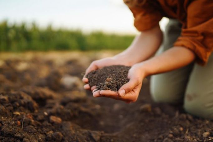 The Role of Soil in Agriculture
