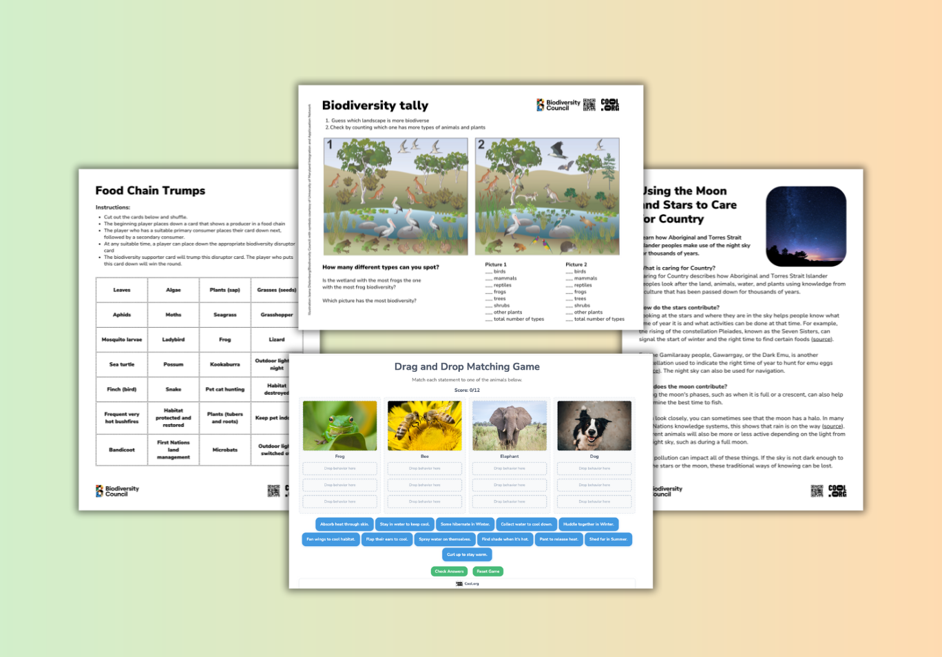 an graphic of a collection of assets that are available in the resources