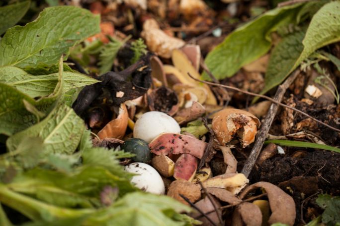 Using Compost To Keep Soils Healthy
