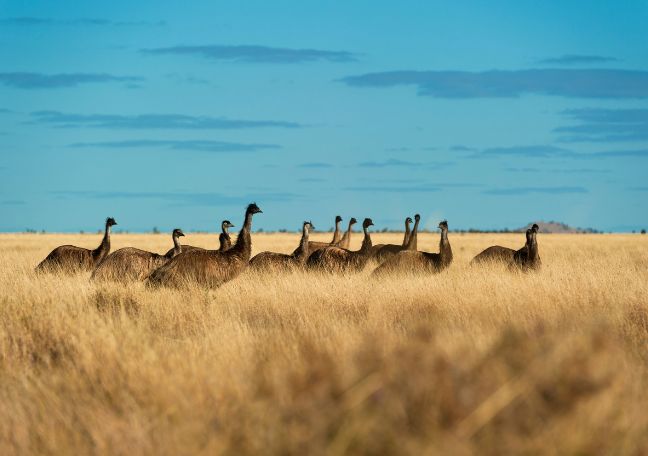 Highlighting First Nations Storytelling in Scientific Conversations