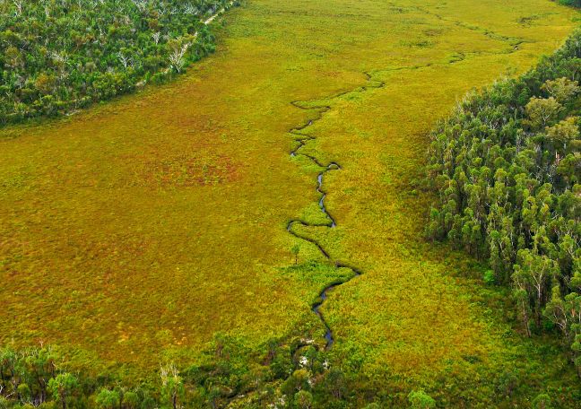 Shaping the Landscape