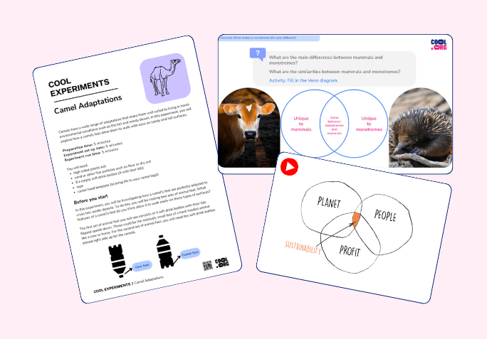 graphic of three resource examples that are within the lesson plans below