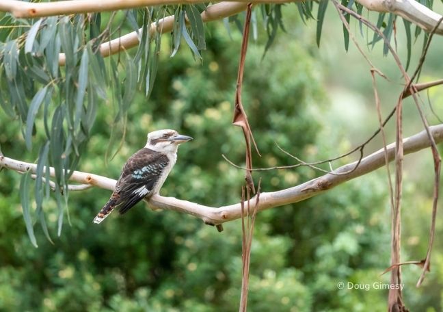 Informative Media about Biodiversity