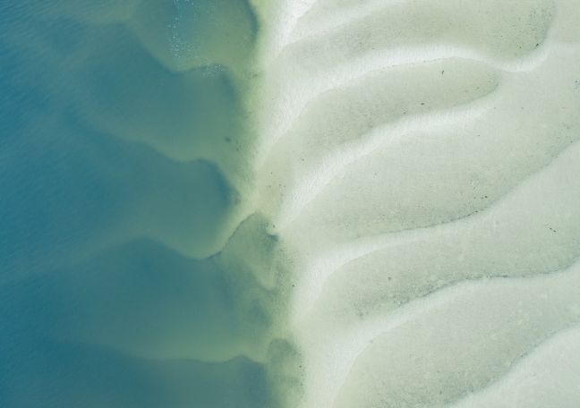 Two Ways, One Future