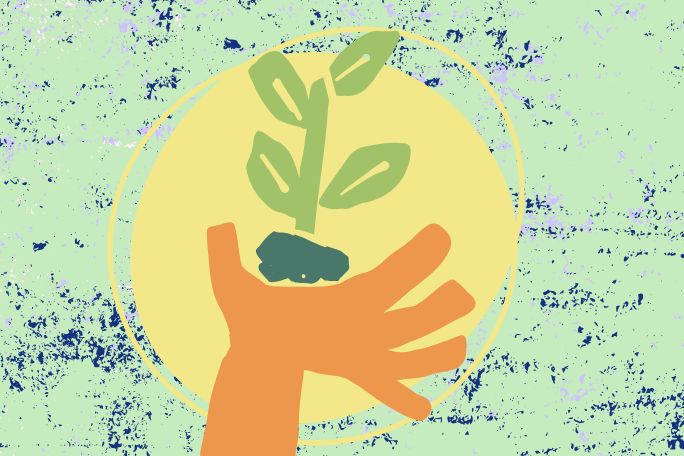 Seeds of Connection: Biodiversity, Culture, and Community in Schools