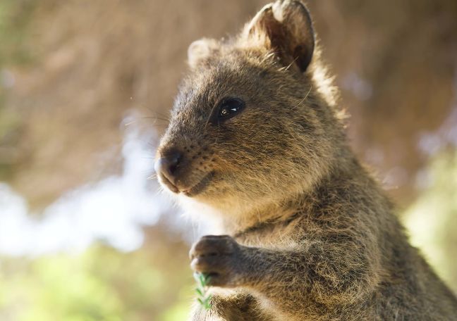 Lights Out on Light Pollution