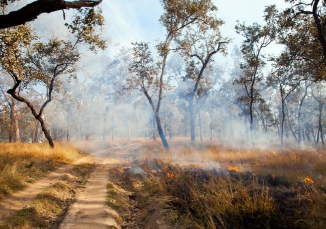 Fire, Floodplains and First Nations Peoples 