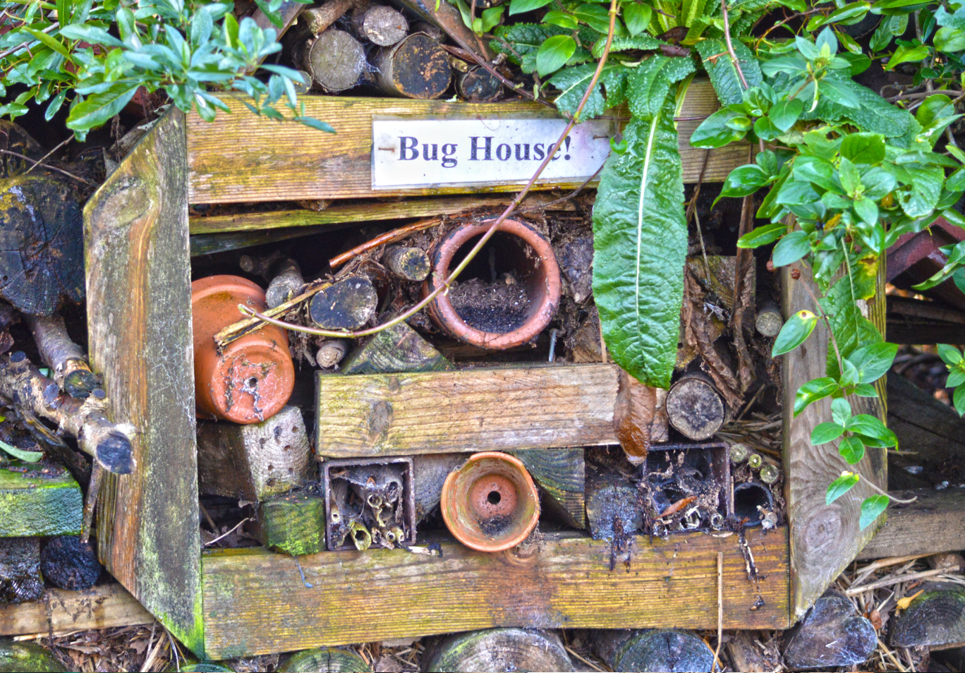 picture of a hand made bug house in the garden, with various hiding places for bugs