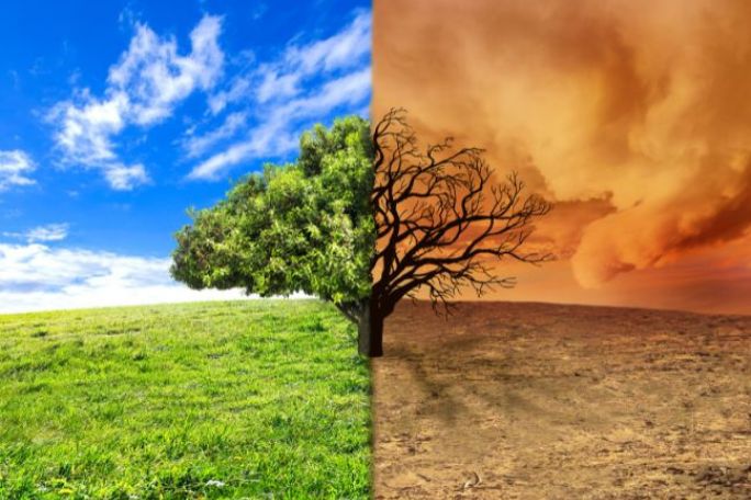 The Impacts of Climate Change on the Environment