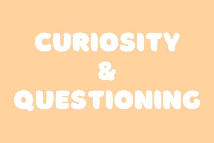Social Emotional Learning - Curiosity and Questioning