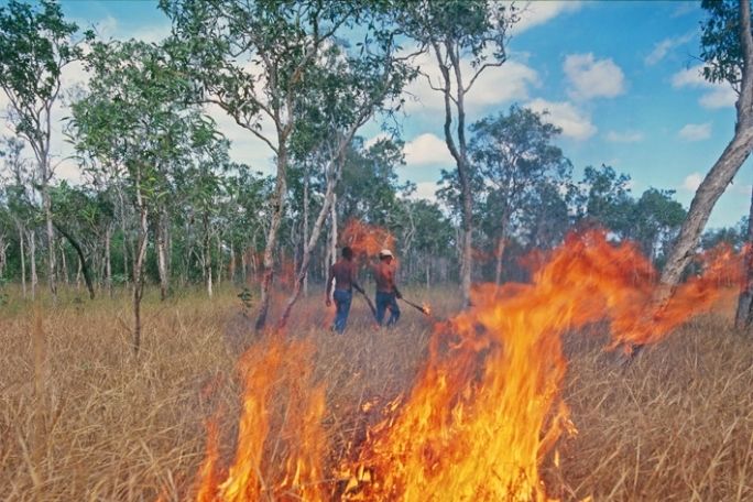 Cool Burning - Traditional Land Management