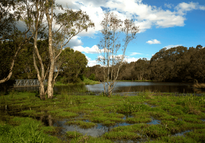 Event image for World Wetlands Day