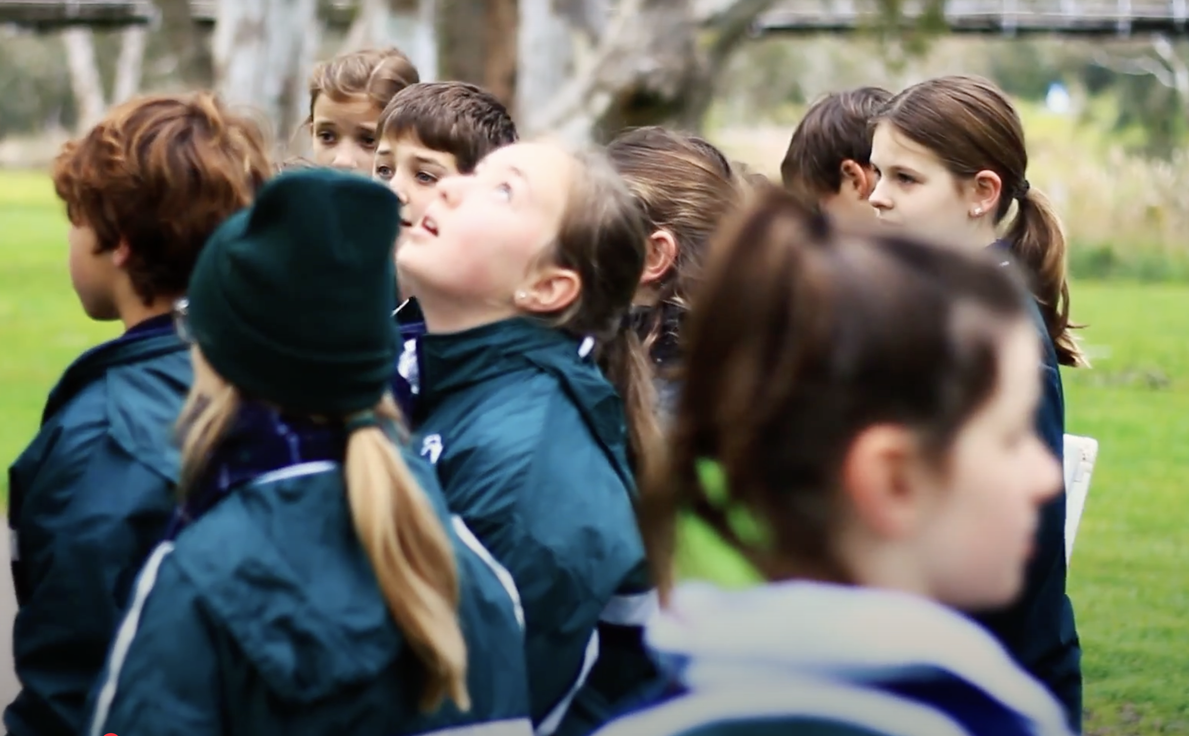 Education for Sustainability