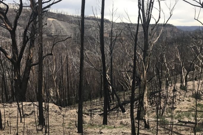 Resilient Australia - How do bushfires impact the landscape?